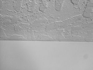 Photo of a thick hawk and trowel on the ceiling with smooth walls