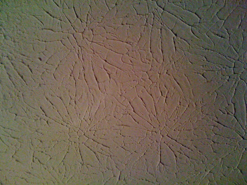 stomp ceiling texture