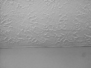 Photo of a Rosebud texture on the ceiling and no texture on the walls