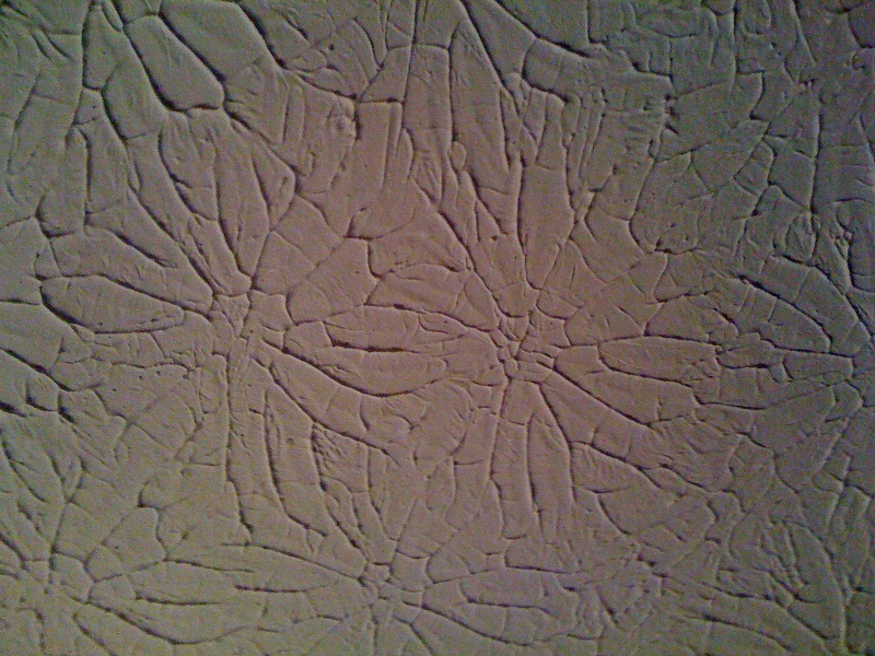 Rosebud Drywall Texture