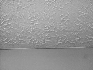 Foto di una texture Rosebud sul soffitto e nessuna texture sulle pareti