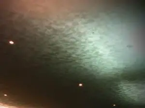 Photo of a random swirl drywall texture on a high ceiling